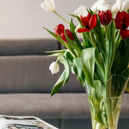 公寓 Brewery - Loftaffair 克拉科夫